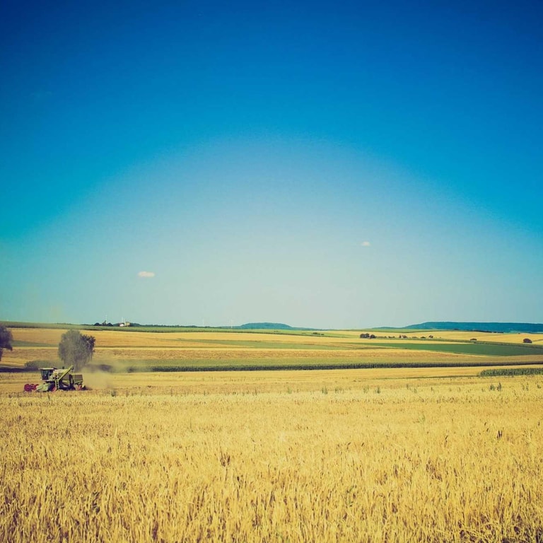 GOOGLE YARD intelligence overview